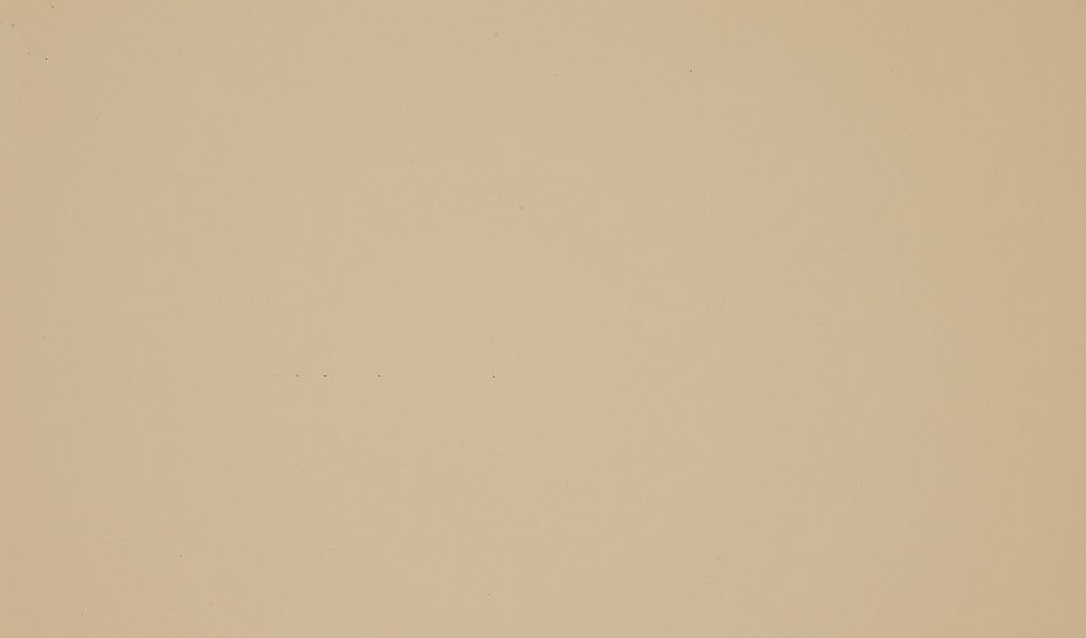 Пластик HPL Arpa 0536 LU Кофе с молоком  глянец STD 0,7 мм 3050*1300 мм