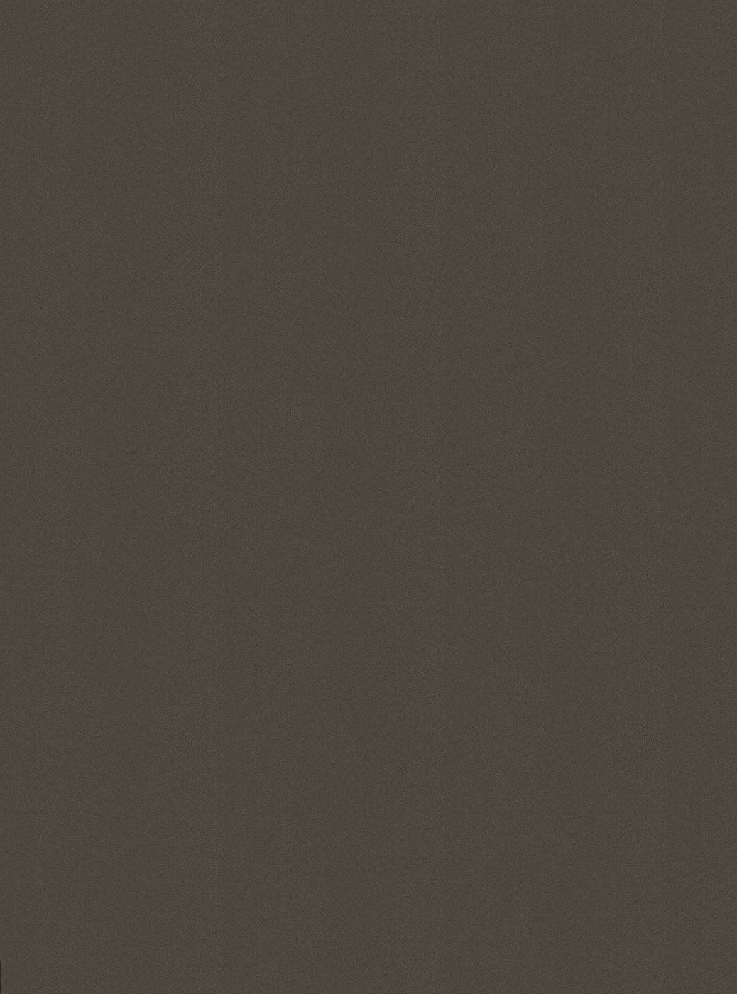 Плита TSS CLEAF Idea FB86 2800*2070*18